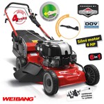 Weibang WB 536 SBV DOV 6v1