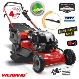 Weibang WB 536 SBV DOV 6v1