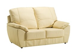 Dvojsedák DALLAS koža / ekokoža