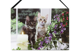 BD563 - Obraz, nástenná svietiace dekorácie - 1 ks LED svetlá.