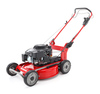 Weibang WB 537 SCM