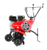 PUBERT VARIO 55P C3