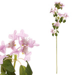 KUY068-LILA - Plamienok v lila farbe.