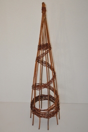 Kužeľ vŕbový stredný