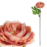 KN6160-BR - Pivonka, farba hnedá.