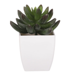 NL0013 - Sukulent v plastovom obale. Kvetina umelá.