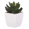 NL0013 - Sukulent v plastovom obale. Kvetina umelá.