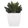 NL0013 - Sukulent v plastovom obale. Kvetina umelá.