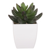 NL0013 - Sukulent v plastovom obale. Kvetina umelá.