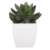 NL0013 - Sukulent v plastovom obale. Kvetina umelá.