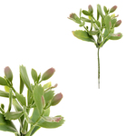 KU4197 - Sukulent. Kvetina umelá plastová.