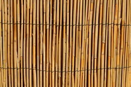 Rohož plotová trstina 130x500 cm