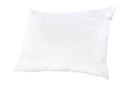 Vankúš Aloe Vera 70x90