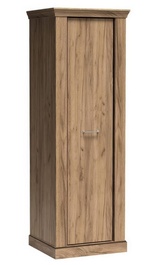 GOLETA A17 šatníková skriňa 1D farba dub kraft zlatý