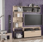 Televízna stena MARANELO dub wenge tmavý/jaseň svetlý