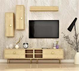 ANVIK obývacia stena, dub