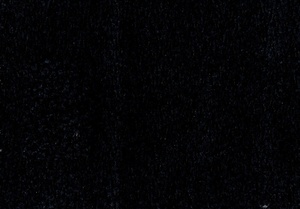 borg 19