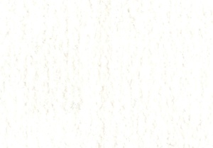 Havran 21