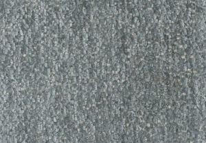 Havran 10