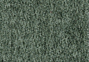 Borg 73