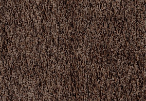 Borg 39