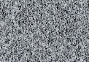 borg 08