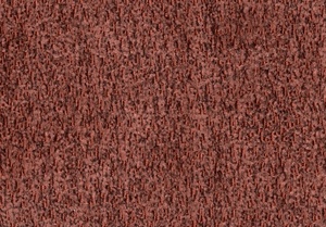 Borg 44