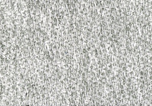 borg 05