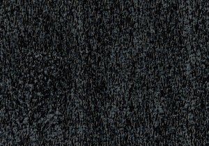 Borg 17