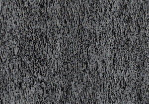 Borg 13