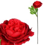 KN6160-RED - Pivonka, farba červená.