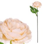 KN6160-YEL - Pivonka, farba svetlo žltá.