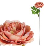 KN6160-BR - Pivonka, farba hnedá.