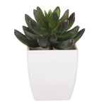 NL0013 - Sukulent v plastovom obale. Kvetina umelá.