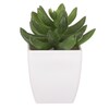 NL0014 - Sukulent v plastovom obale. Kvetina umelá.