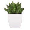 NL0014 - Sukulent v plastovom obale. Kvetina umelá.