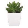 NL0014 - Sukulent v plastovom obale. Kvetina umelá.