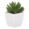 NL0014 - Sukulent v plastovom obale. Kvetina umelá.