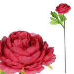 KN6160-BOR - Pivonka, farba bordová.