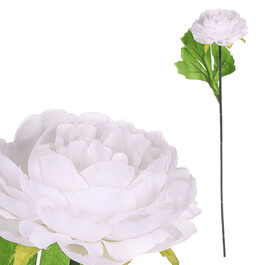 KN6160-WH - Pivonka, farba biela.