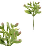 KU4197 - Sukulent. Kvetina umelá plastová.